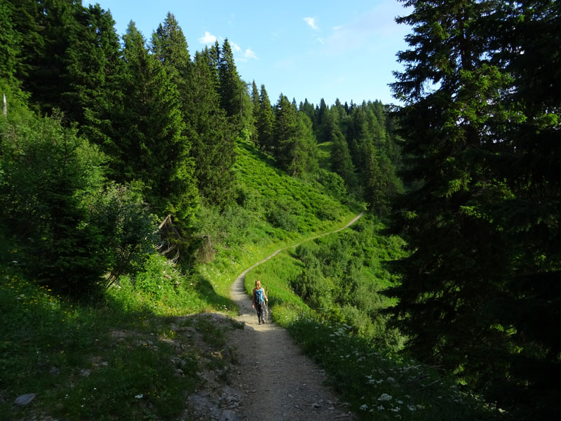 XII Apostoli........Gruppo di Brenta